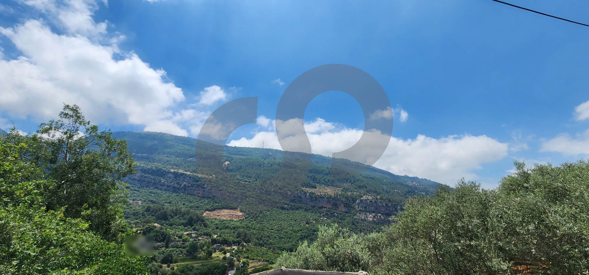 Beautiful Land 100 Olive trees in ADONIS JBEIL — الصورة 3