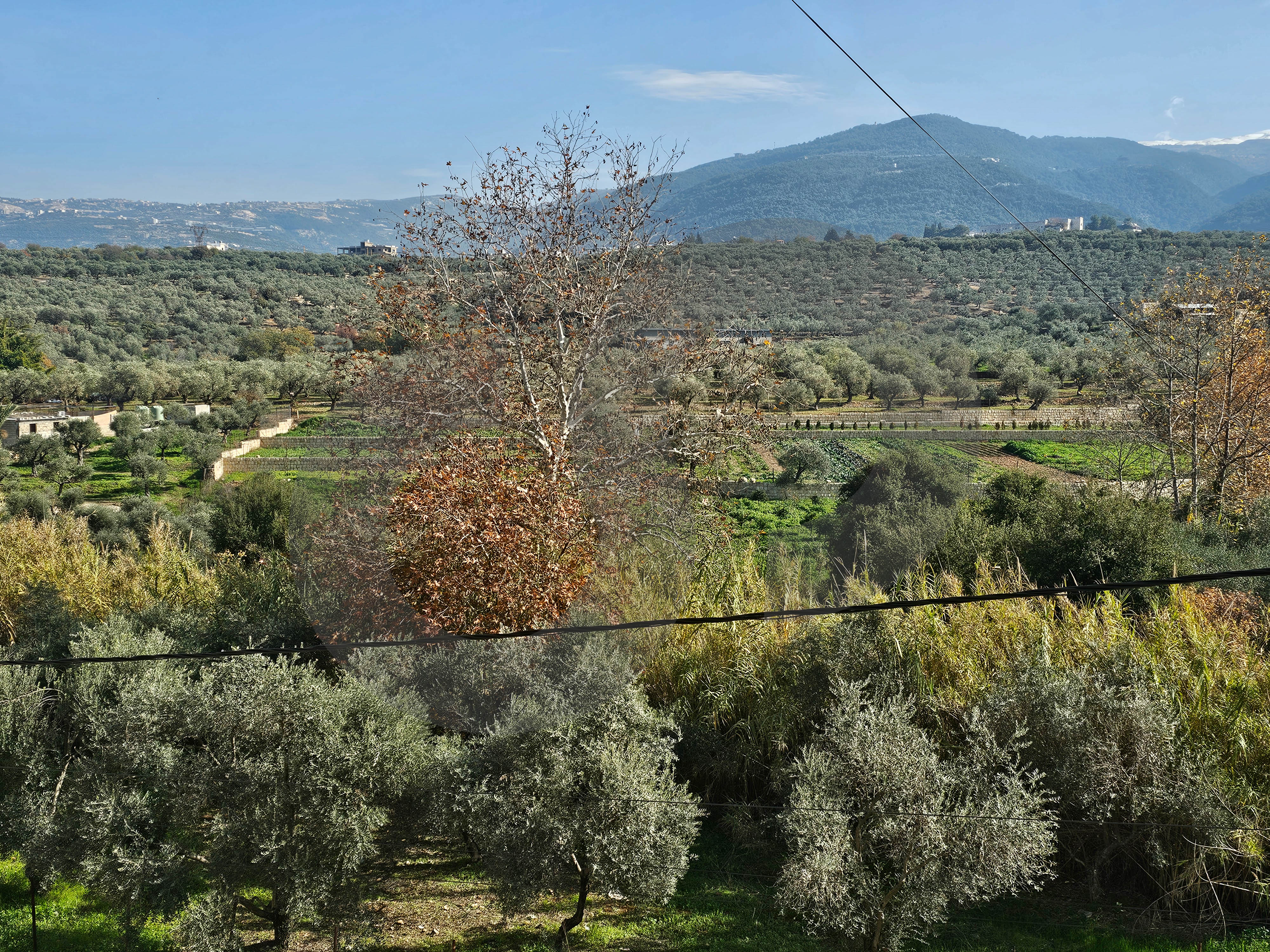 Great deal, prime area, Kfaryachit - Zgharta — الصورة 3