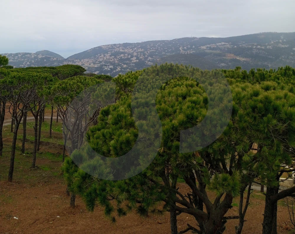 Breathtaking views, Magnificent views ,Qornayel — الصورة 3