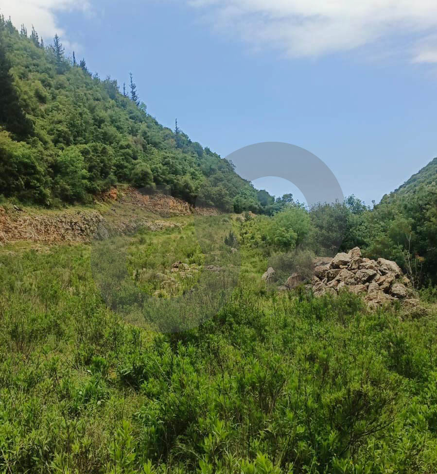 industrial land, great deal, Maaysrah, Keserouan — الصورة 3