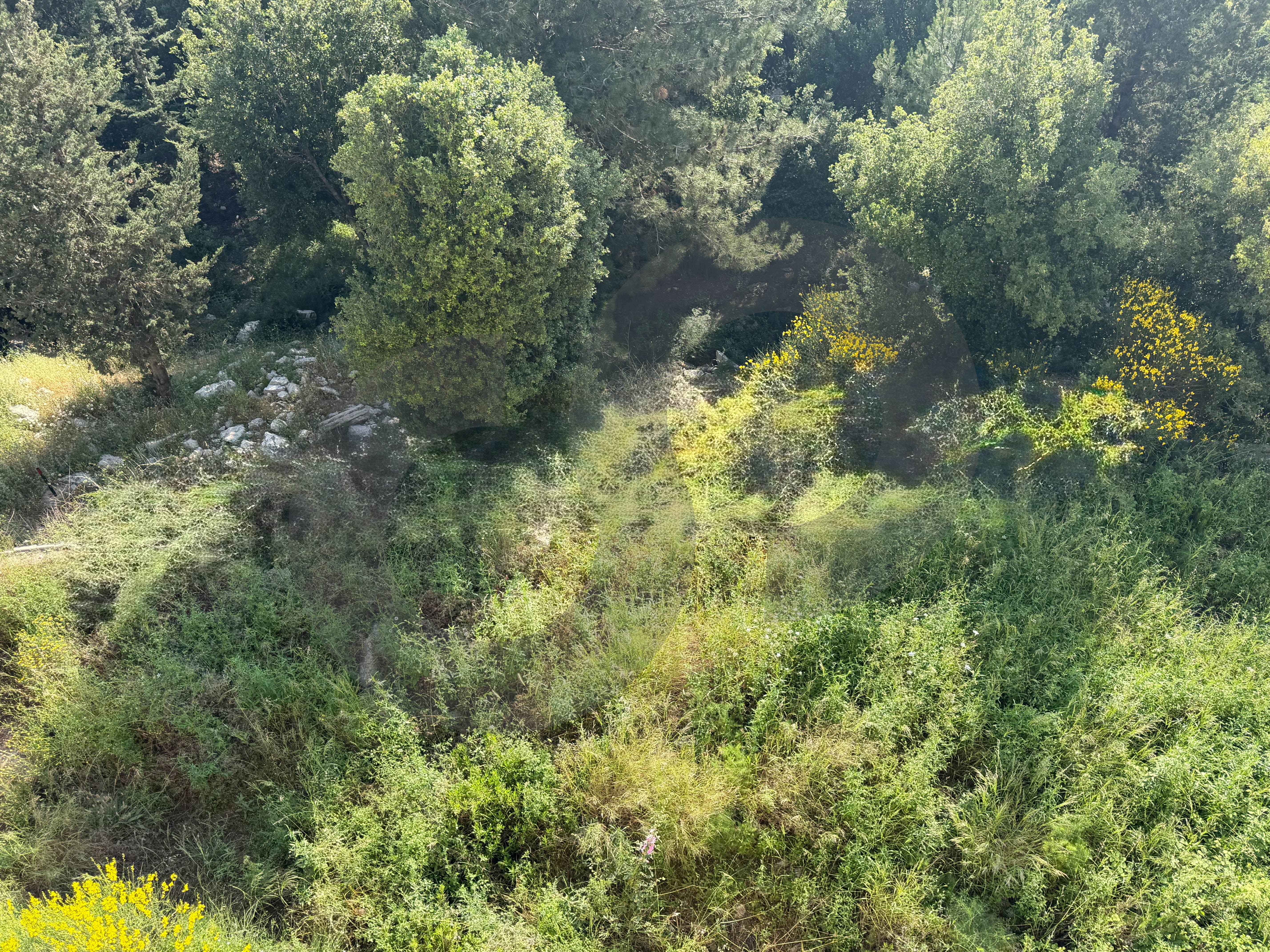 Sea View & Mountain View, Kfour, Keserouan — الصورة 3