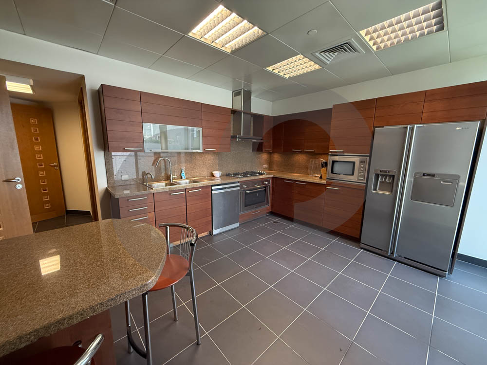 SUPER DELUXE, FULLY FURNISHED, DOWNTOWN-BEIRUT — photo 3