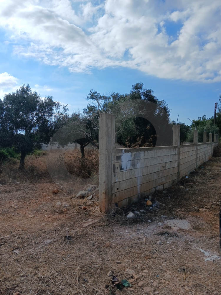 LAND FOR SALE, GREAT DEAL, DEDDEH-KOURA — الصورة 3