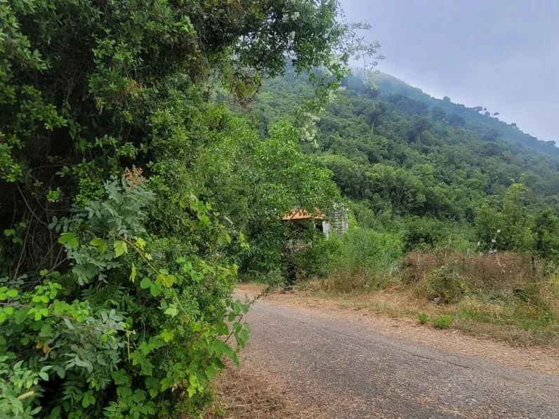 Land for Sale in Delbta — الصورة 2