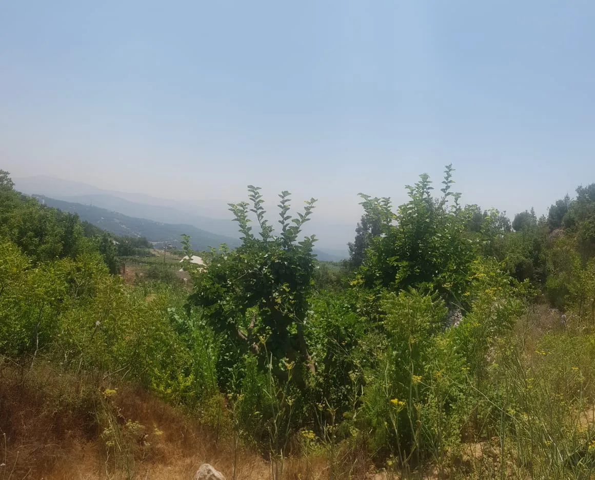 Land for Sale in Qlayaat, Lebanon