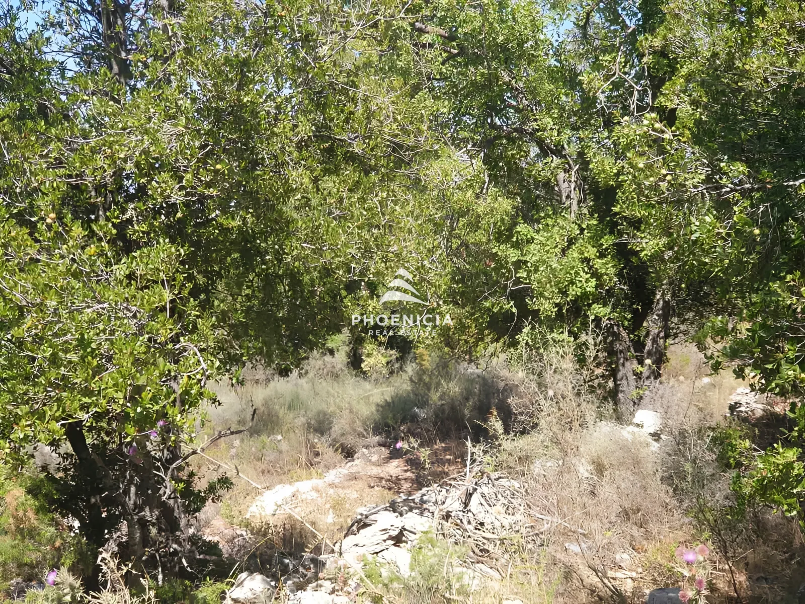 Land for Sale in Mechmech — الصورة 7