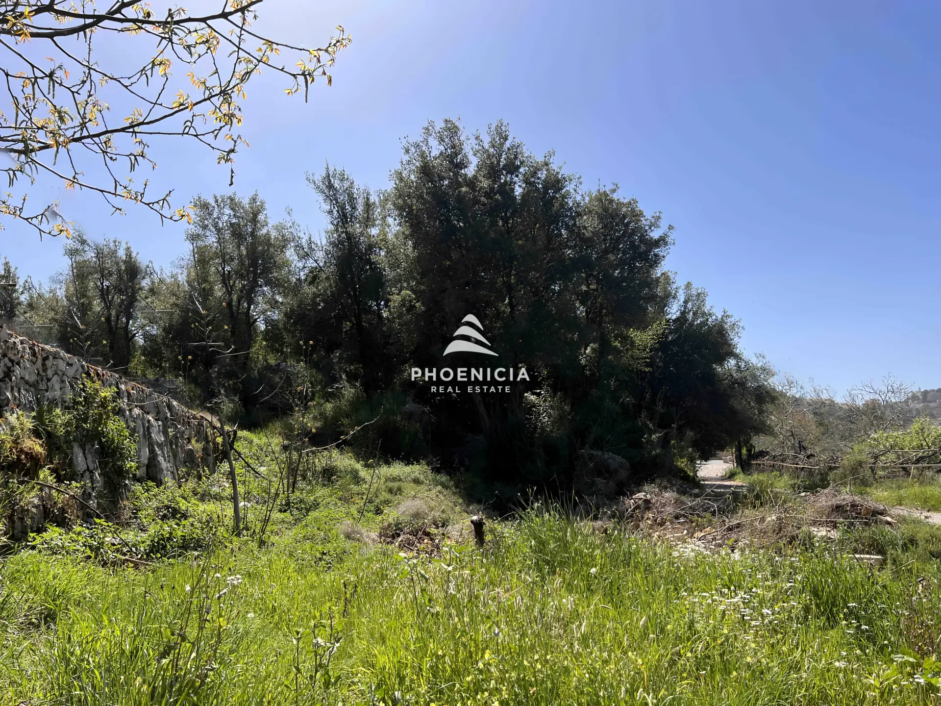 Land for Sale in Lehfed — الصورة 3