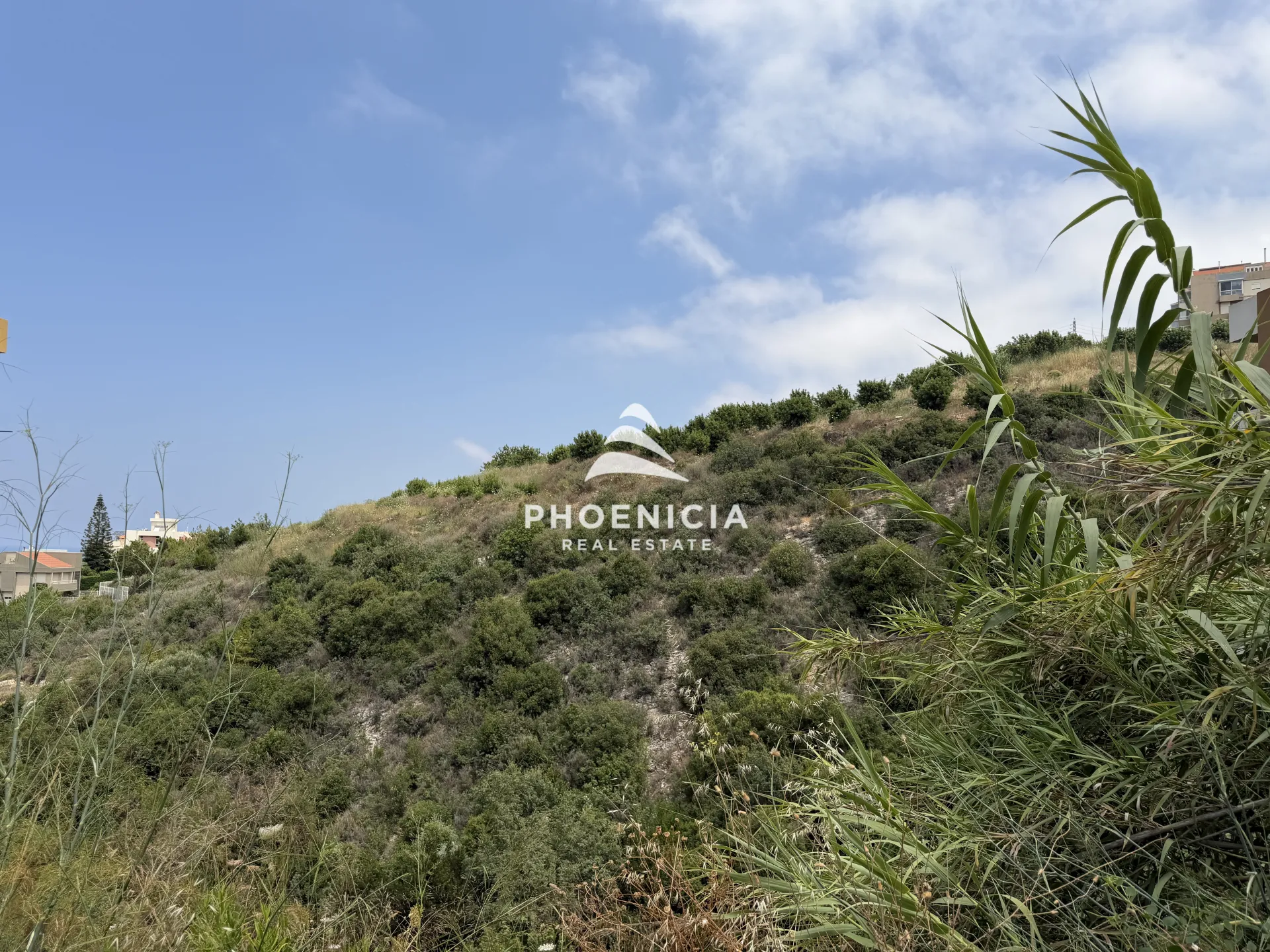 Residential Land for sale in Blat, Jbeil, Lebanon — الصورة 5