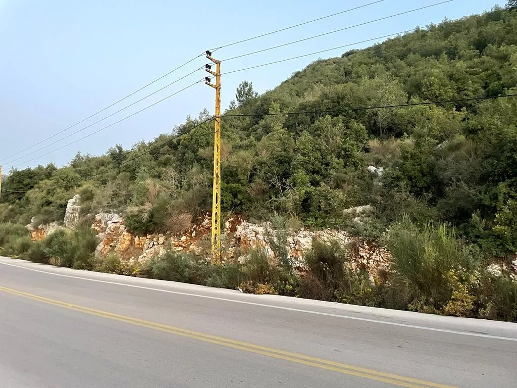 Land for Sale in Haqel, Lebanon — الصورة 3