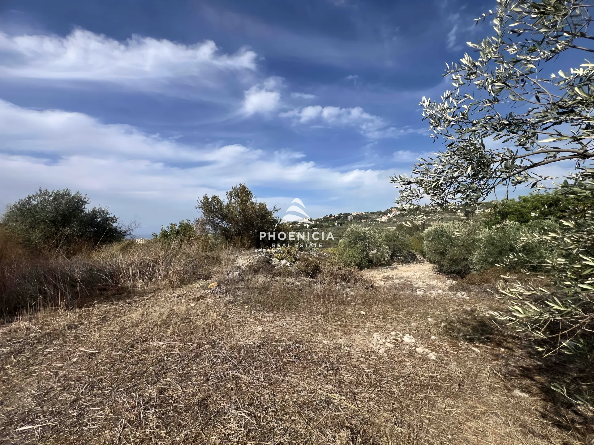 Land for Sale in Chikhane — الصورة 4
