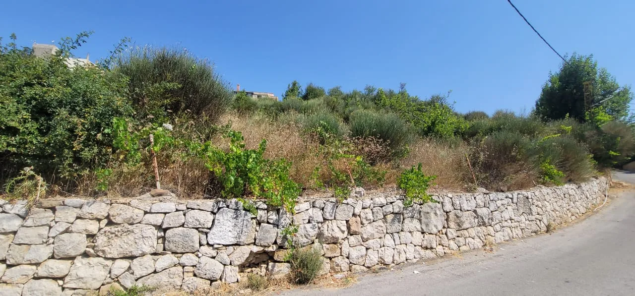 Land for Sale in Mayrouba — الصورة 2
