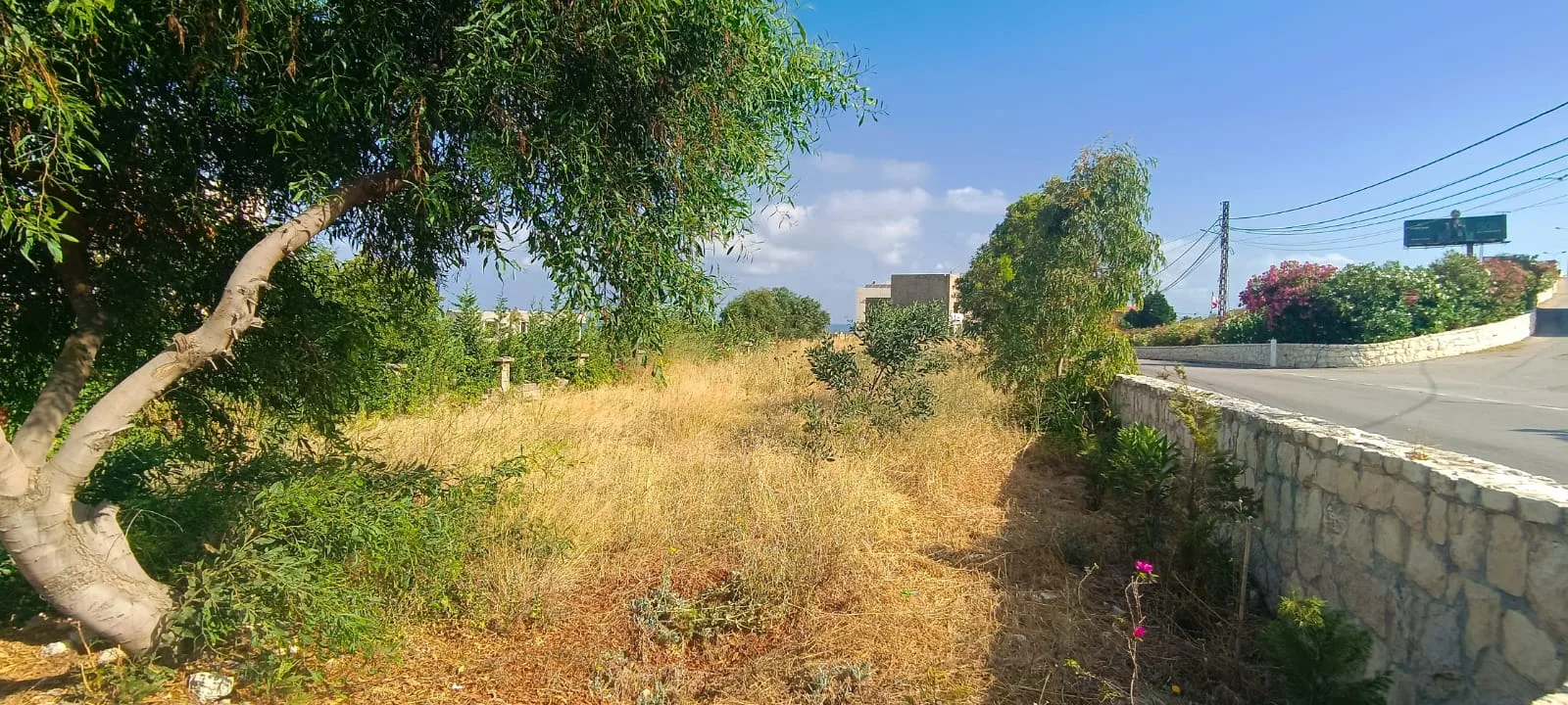 Land for Rent in Berbara — photo 2