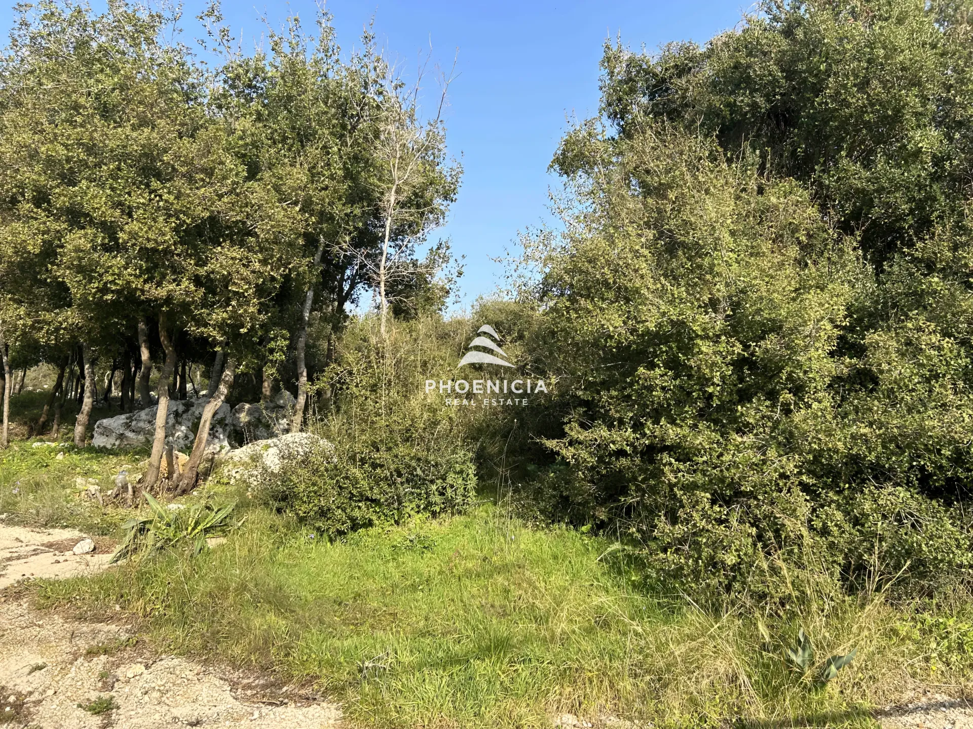 Land for Sale in Bouar, Lebanon — الصورة 2