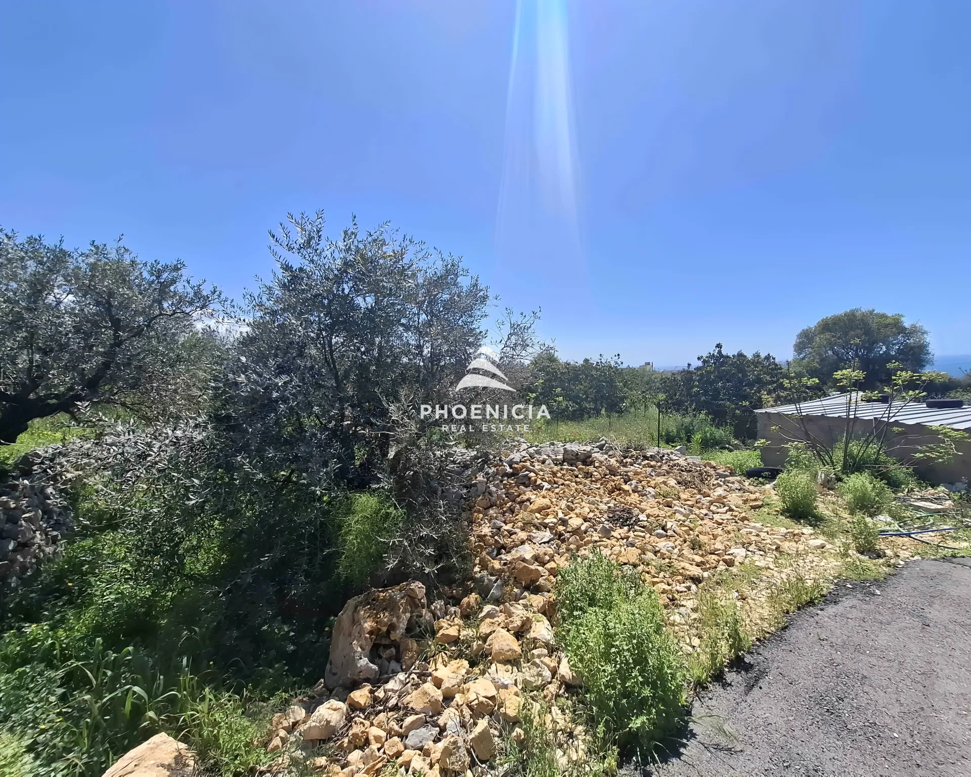 Land for Sale in Monsef — الصورة 8