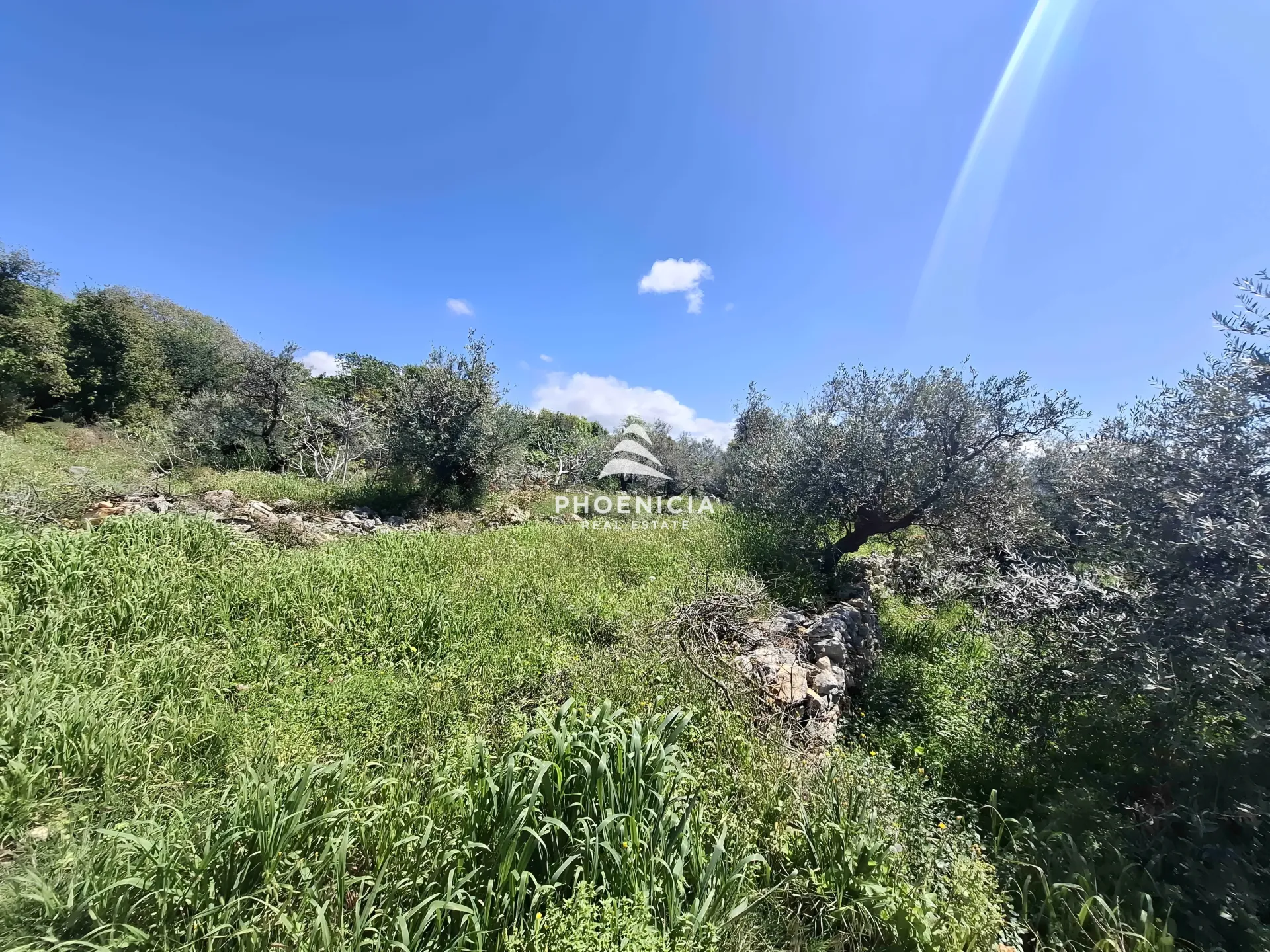 Land for Sale in Monsef — الصورة 7
