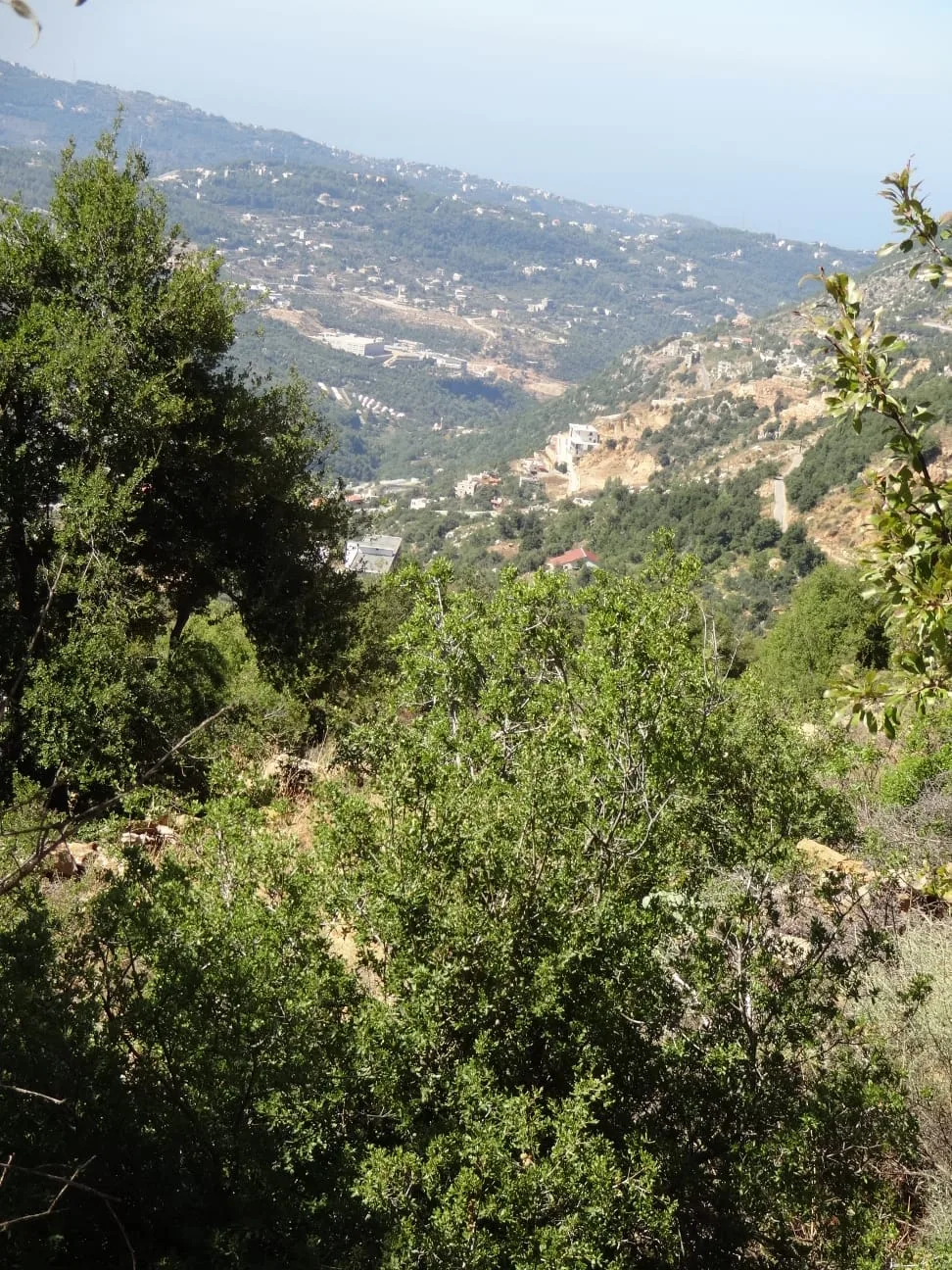 Land for Sale in Ehmej, Lebanon — الصورة 2