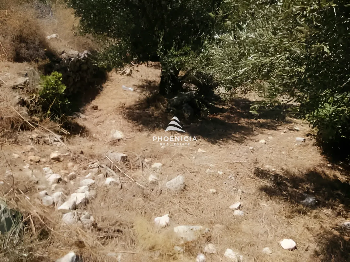 Land for Sale in Monsef — الصورة 7
