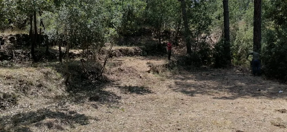 Land for Sale in Bzebdine, Lebanon — الصورة 4