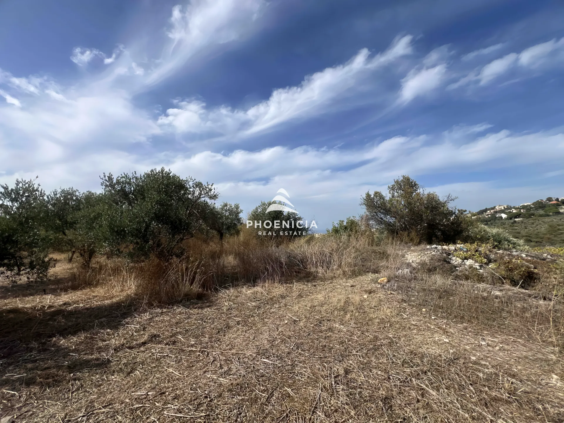 Land for Sale in Chikhane — الصورة 3