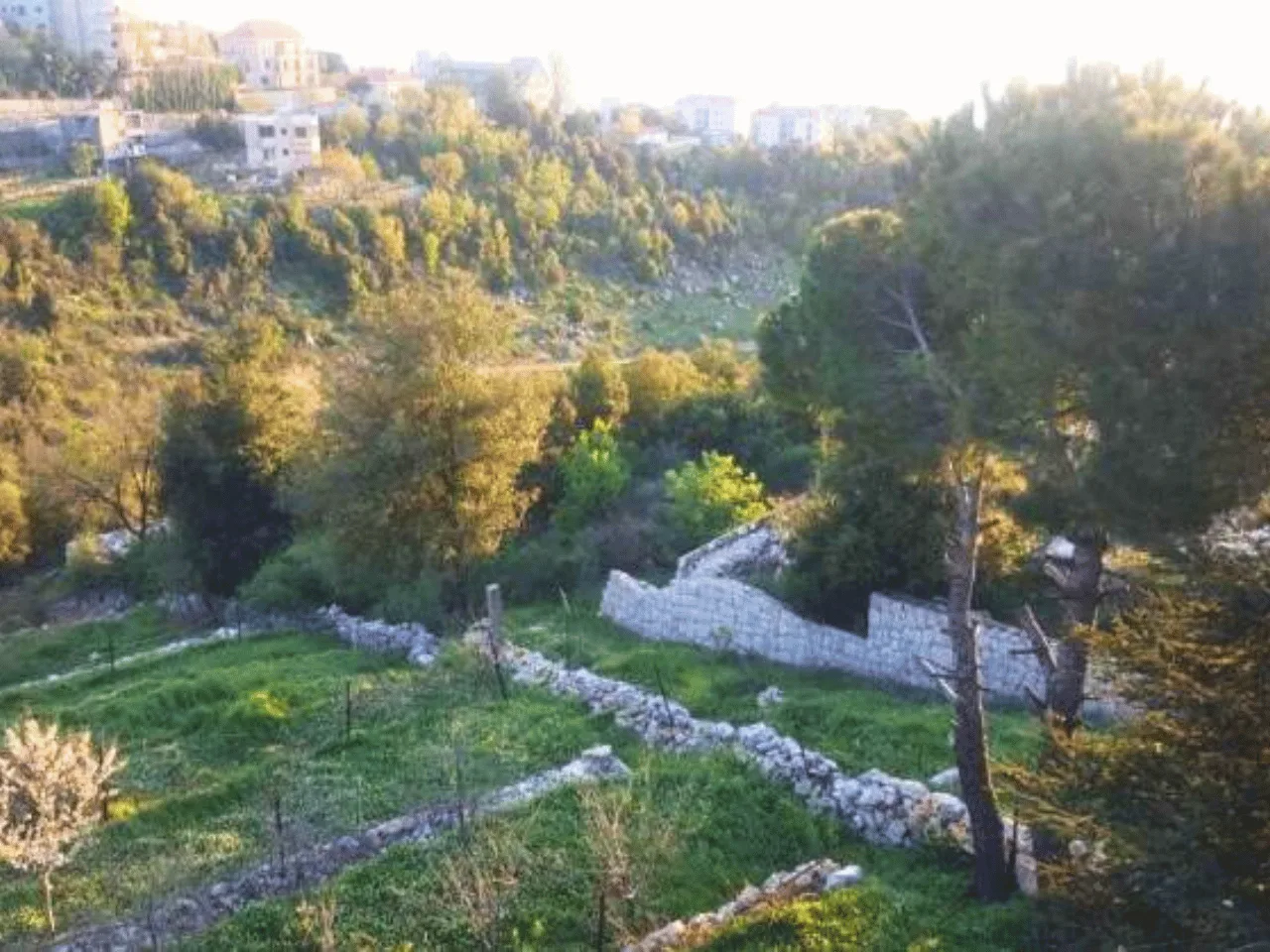 Land for Sale in Aannaya, Lebanon