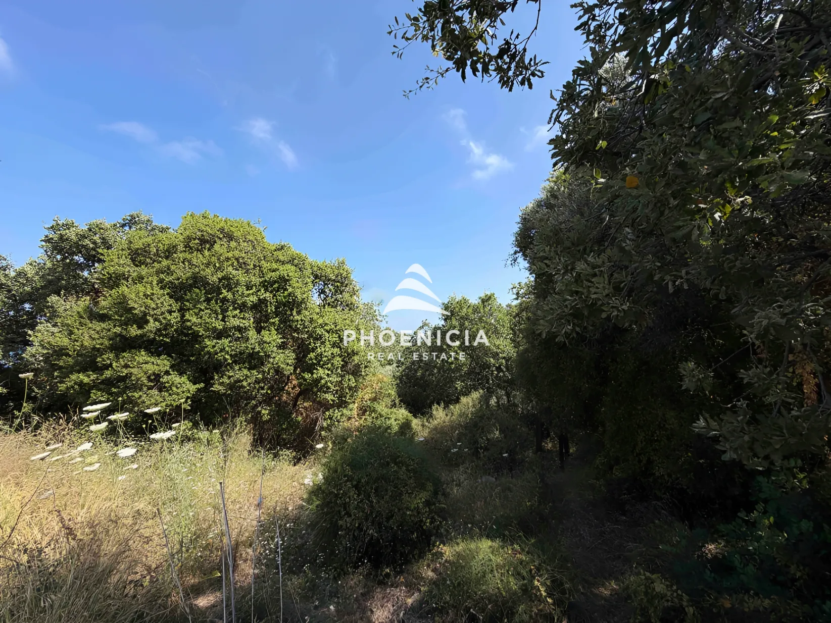Residential Land for sale in Tehoum, Lebanon — الصورة 5