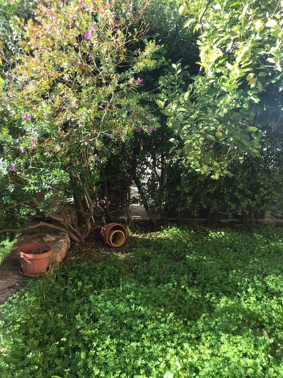 Triplex for Sale in Aamchit, Lebanon — الصورة 5