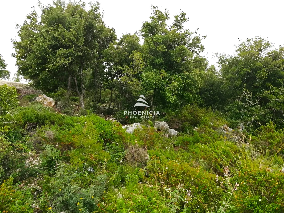 Land for Sale in Blat — الصورة 8