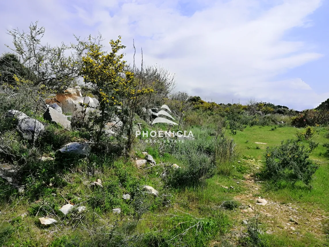 Land for sale in Chikhane, Jbeil, Lebanon — الصورة 2