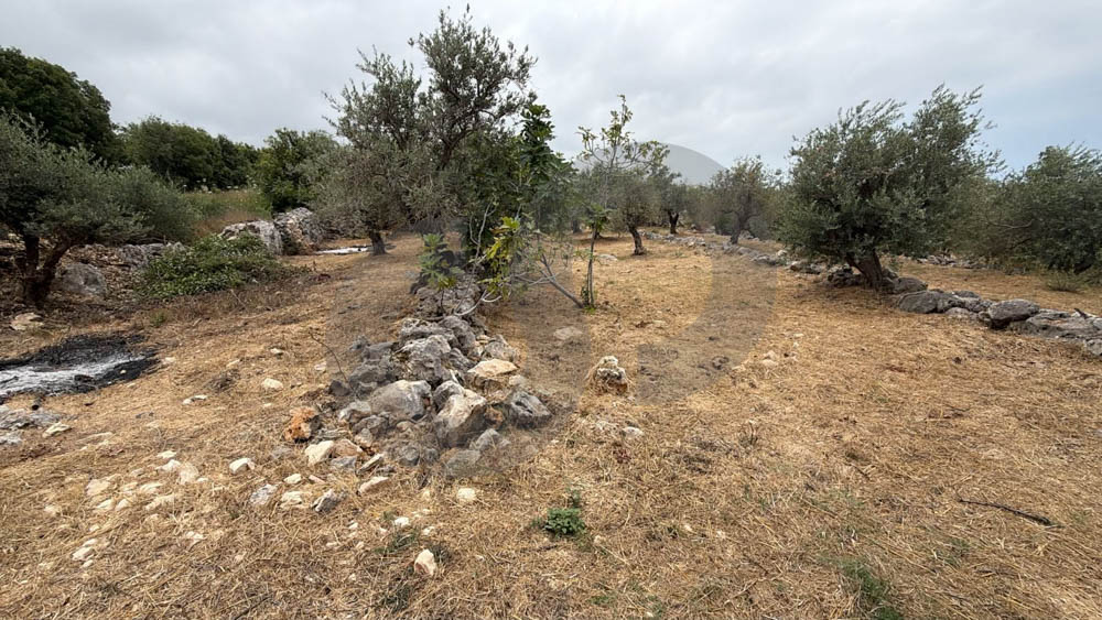 LAND FRO SALE, PRIME LOCATION, MONSEF-JBEIL — الصورة 2