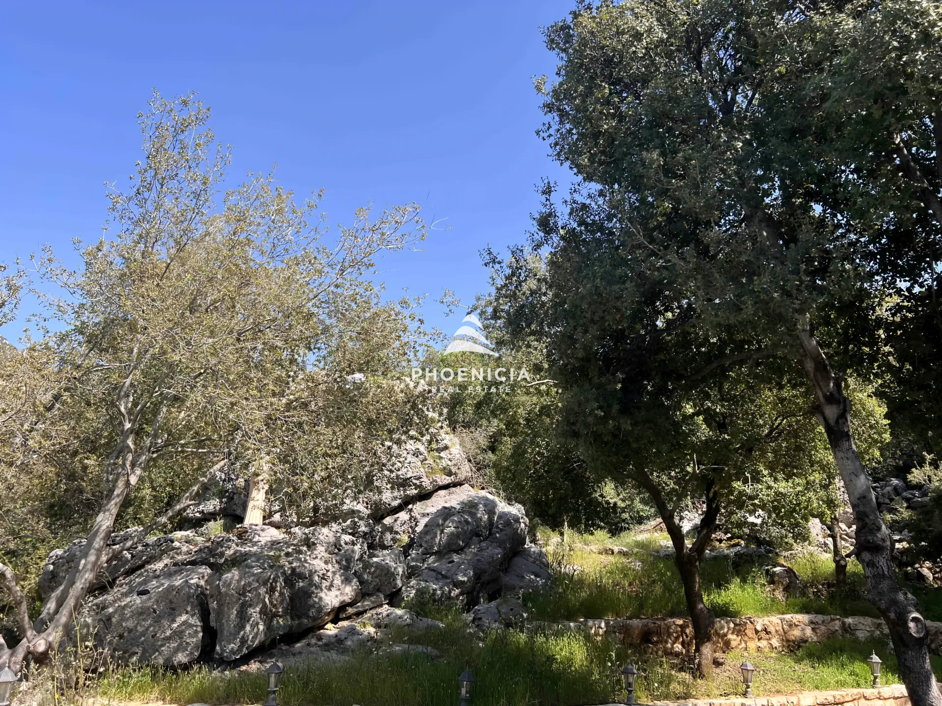 Land for Sale in Lehfed — الصورة 8