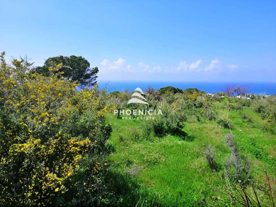 Land for sale in Chikhane, Jbeil, Lebanon — الصورة 4