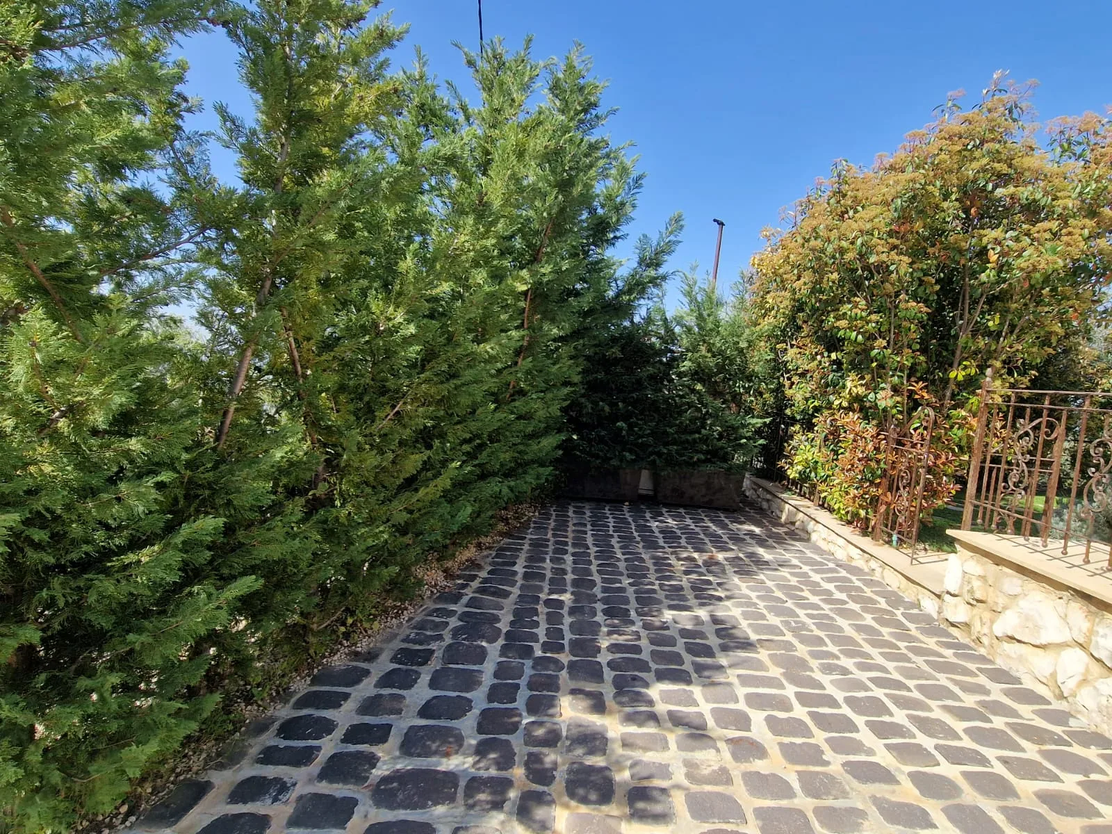 Villa for Sale in Batroun, Lebanon — الصورة 6