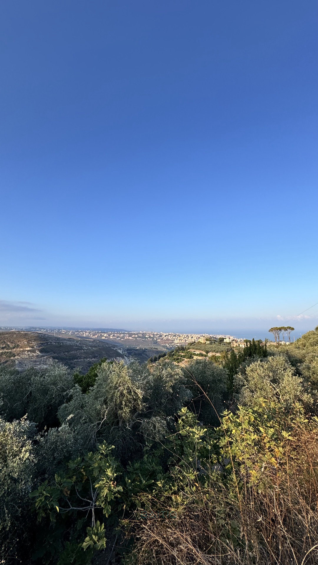  أرض للبيع – الجميليّة — الصورة 3