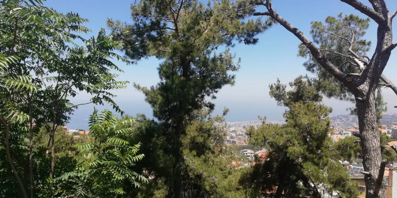 Land for Sale in Roumieh, Lebanon