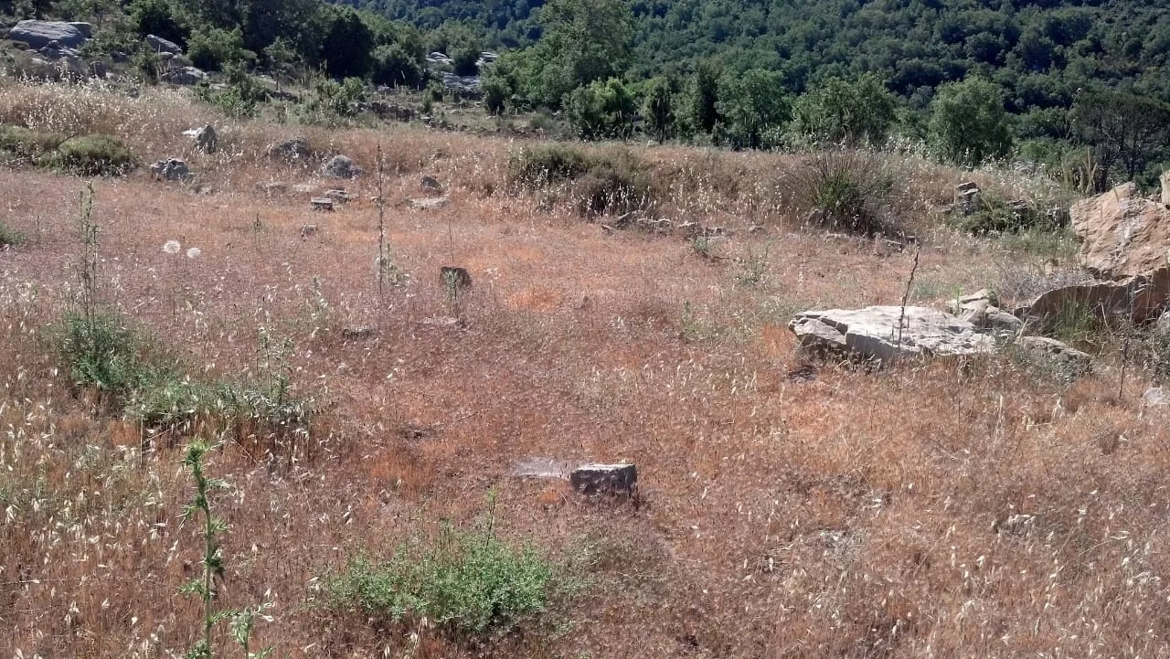 Land for Sale in Mtein, Lebanon — الصورة 2