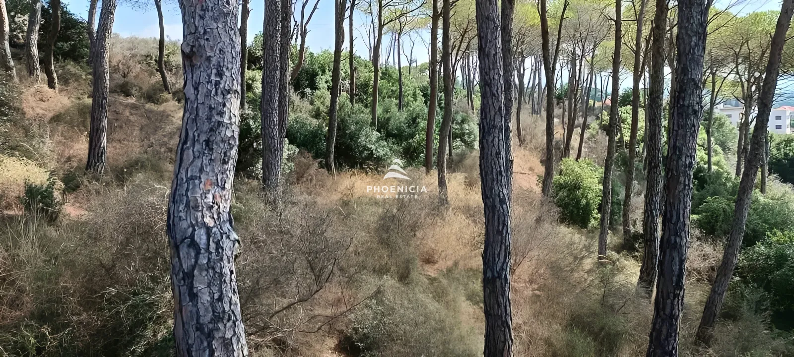 Land for Sale in Gharzouz — الصورة 2