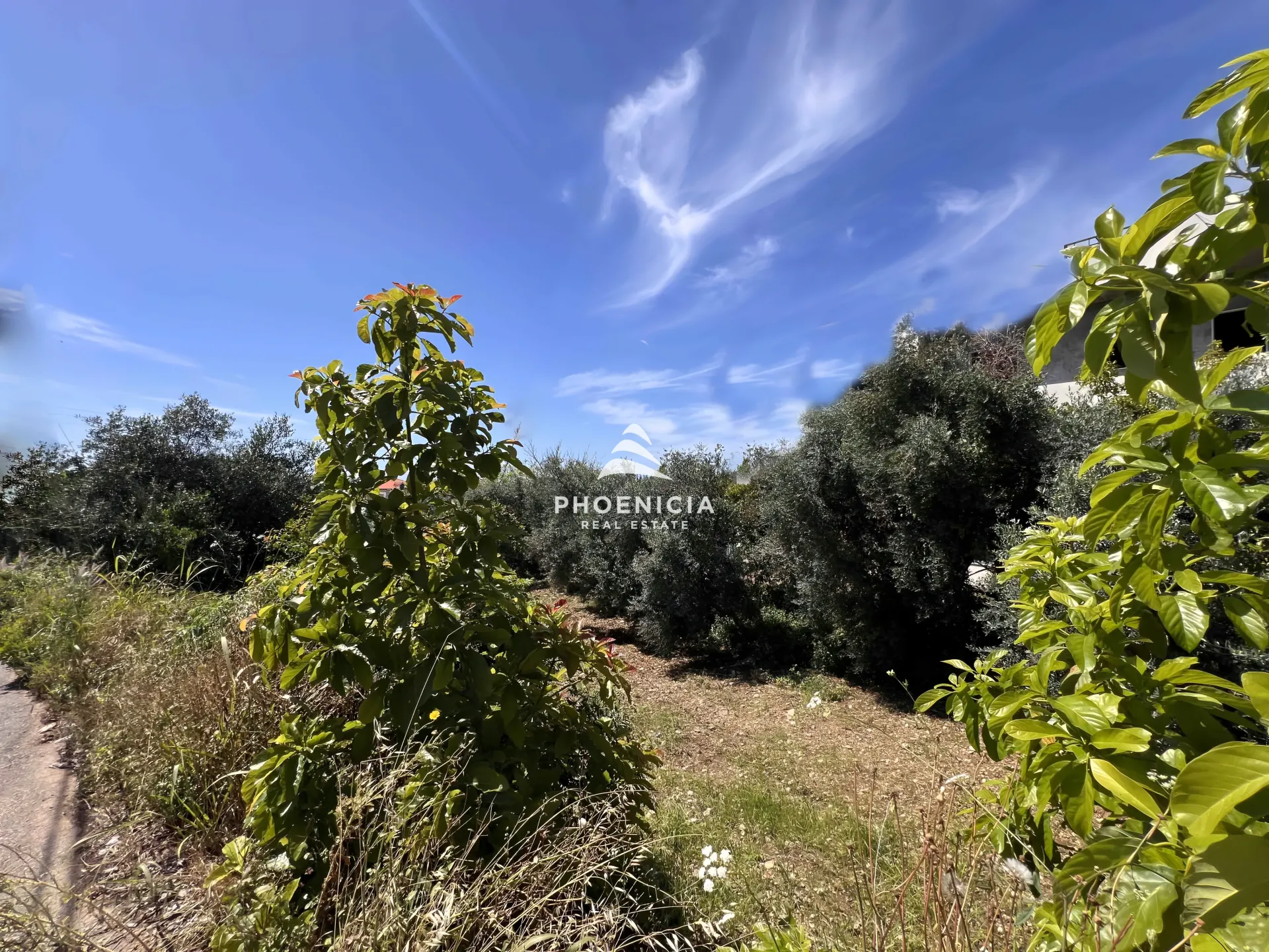Land for Sale in Batroun — الصورة 4