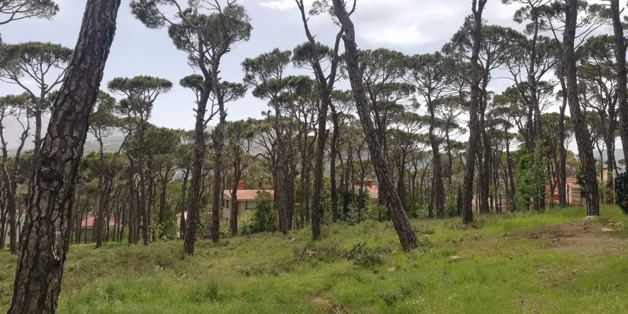 Land for Sale in Bolonia, Mrouj — الصورة 2