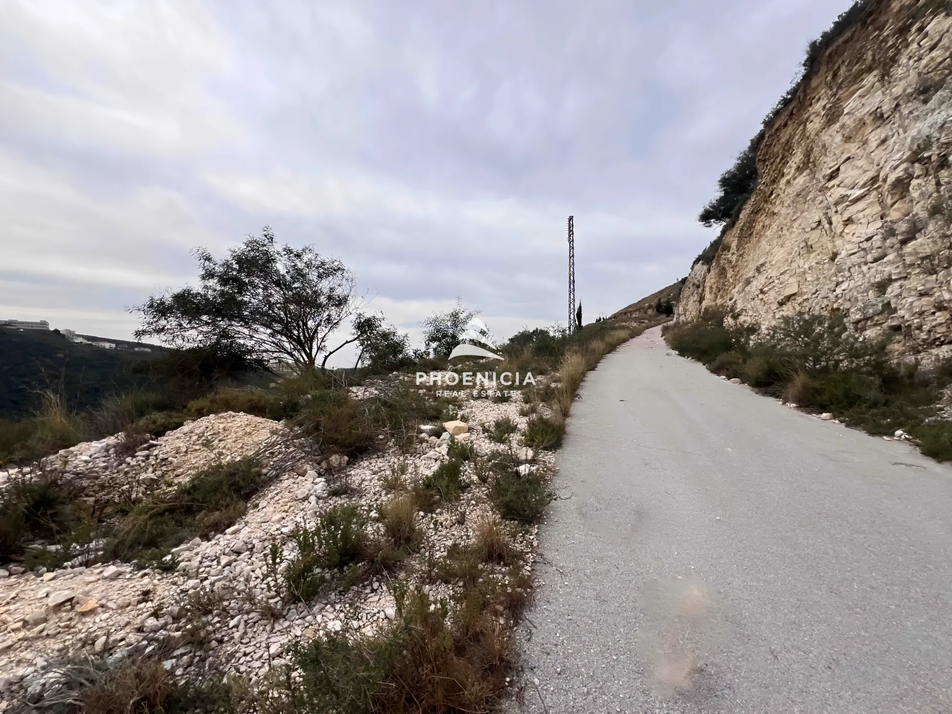 Land for Sale in Edde — الصورة 5