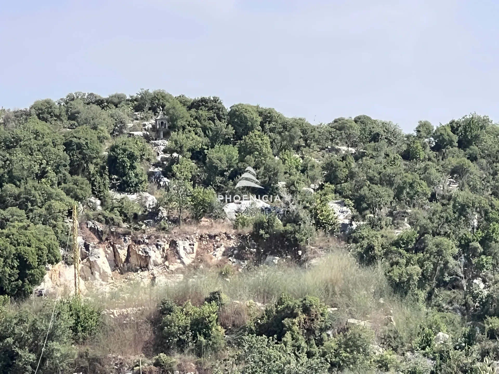 Land for Sale in Gharzouz — الصورة 3