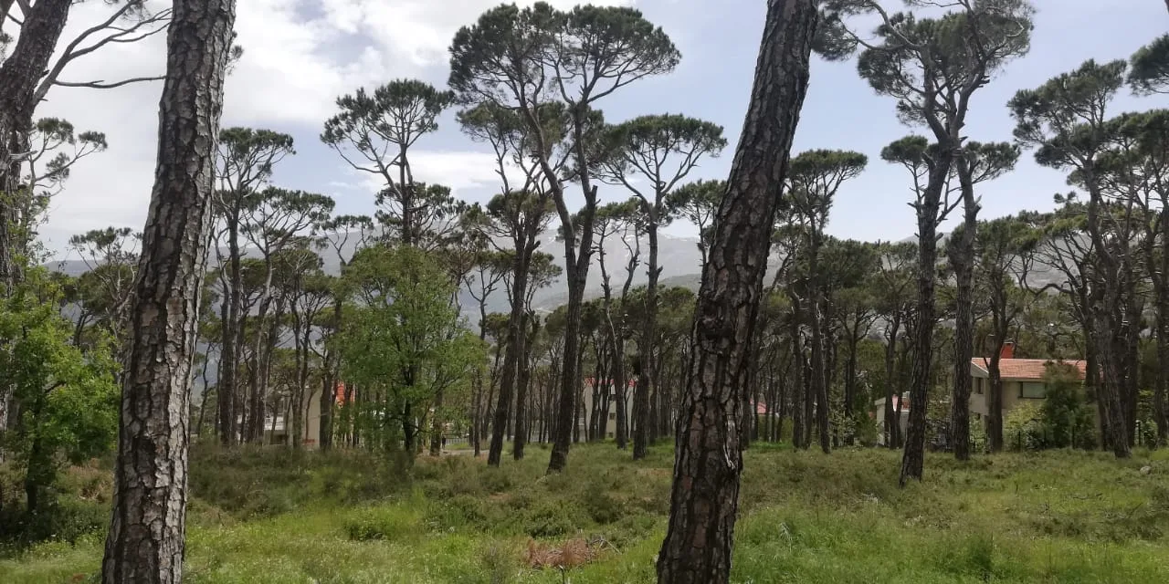 Land for Sale in Bolonia, Mrouj — الصورة 3