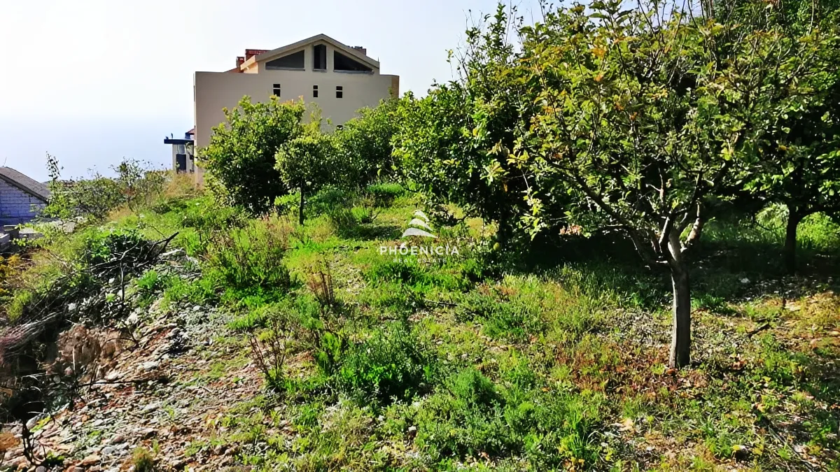Land for Sale in Blat — الصورة 3