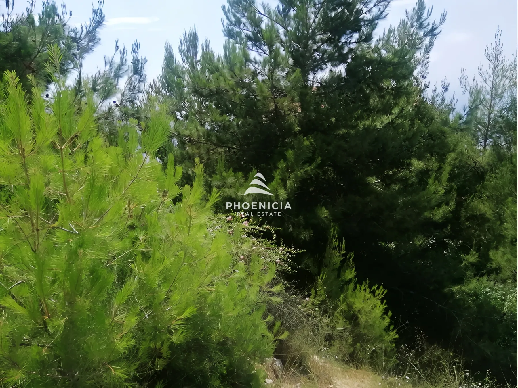 Land for Sale in Blat — الصورة 3