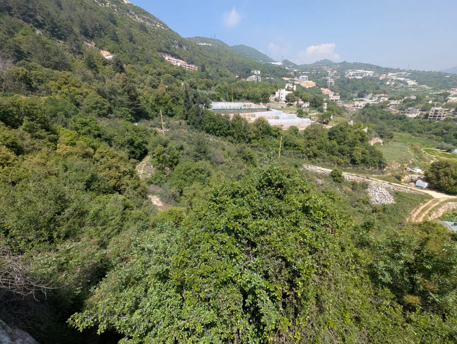 Land for Sale in Bchelli