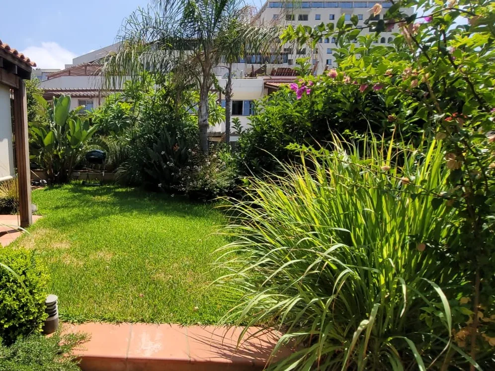 Chalet for Rent in Kaslik — الصورة 4