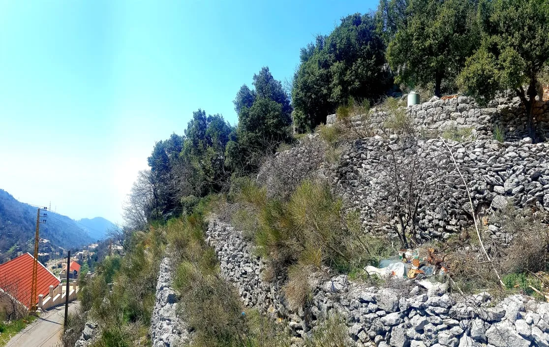 Land for Sale in Rachana, Lebanon — الصورة 2