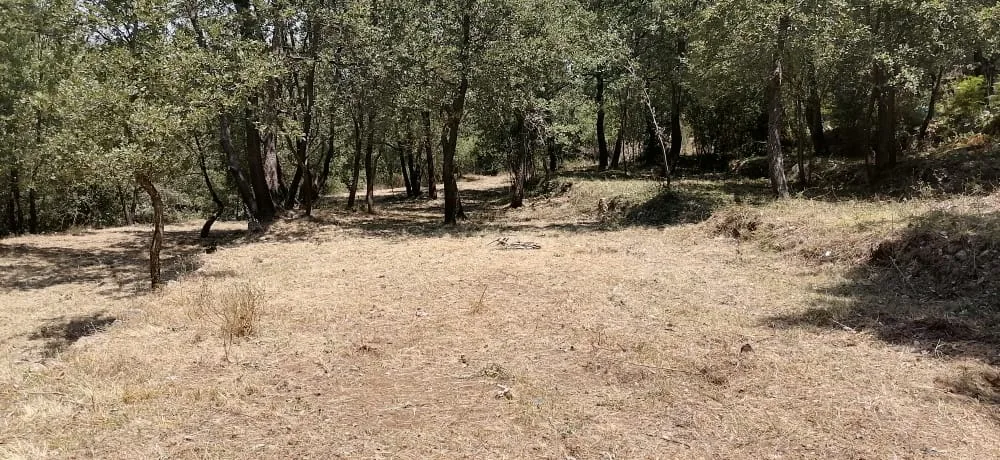 Land for Sale in Bzebdine, Lebanon — الصورة 5