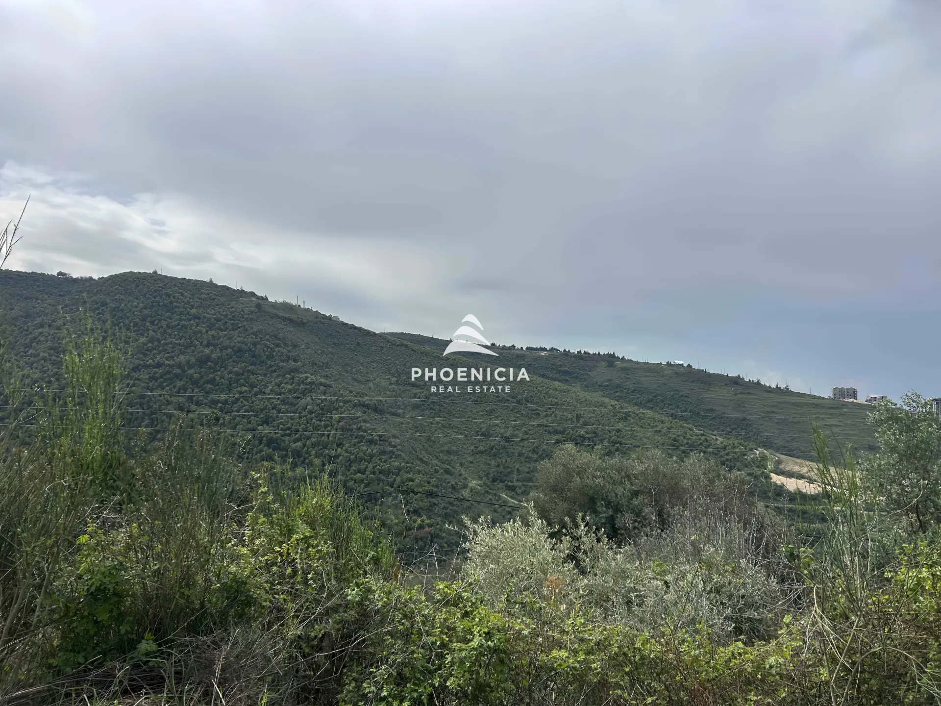Land for Sale in Habboub — الصورة 7