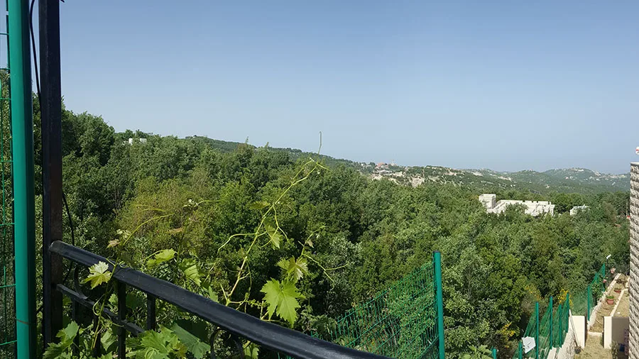 Triplex for Sale in Mechmech , Lebanon — الصورة 7