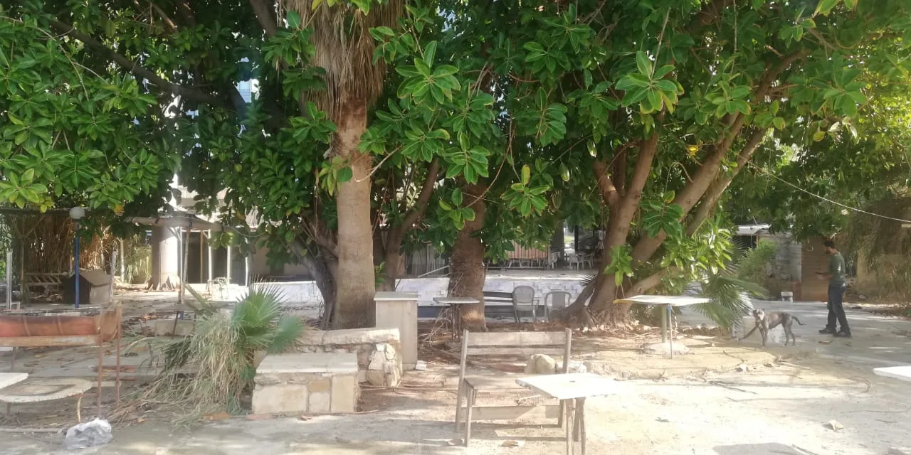 Land for Rent in Antelias, Lebanon — الصورة 2